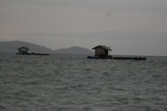 Bengkona Jukok di Pulau Bawean, Kabupaten Gresik. Foto: Chidir/NUGres