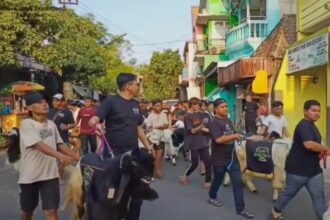 Tebar semangat berkurban, warga sekitar Kalitutup Gresik punya kalender event 'Culture and Tradition Ied Adha'. Foto: ist/NUGres