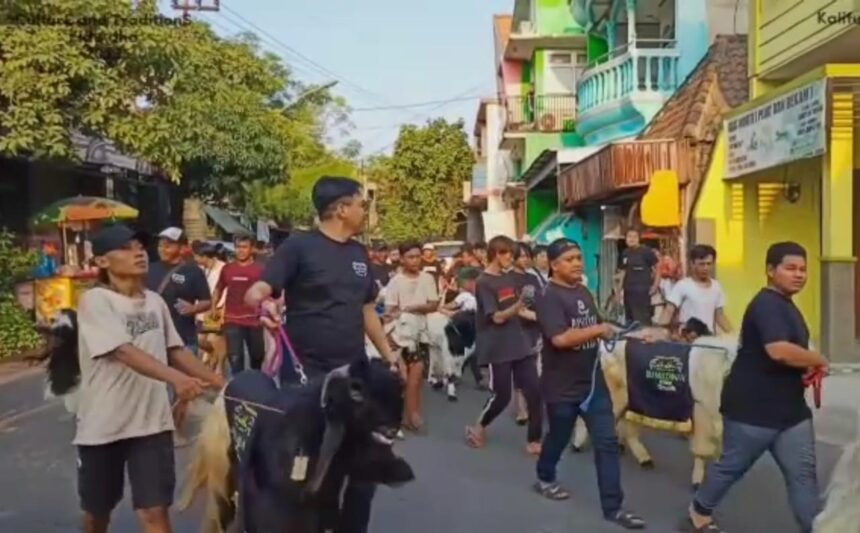 Tebar semangat berkurban, warga sekitar Kalitutup Gresik punya kalender event 'Culture and Tradition Ied Adha'. Foto: ist/NUGres