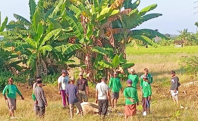 Hari Raya Iduladha 1445 H/2024 M, Majelis Wakil Cabang Nahdlatul Ulama Dukun (MWCNU Dukun) menunjukkan keistiqamahannya melaksanakan penyembelihan hewan kurban, Selasa (18/6/2024). Foto: Syafik Hoo/NUGres