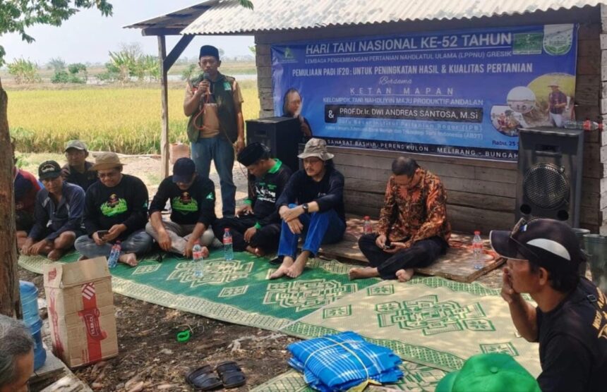 Peringatan Hari Tani Nasional 2024, Pengurus Cabang LPPNU Gresik, Ketan Mapan, Kader Madrasah Pertanian dan sejumlah petani menyambut kedatangan guru besar IPB bersama tim AB2TI, Rabu (25/9/2024). Foto: dok PC LPPNU Gresik/NUGres