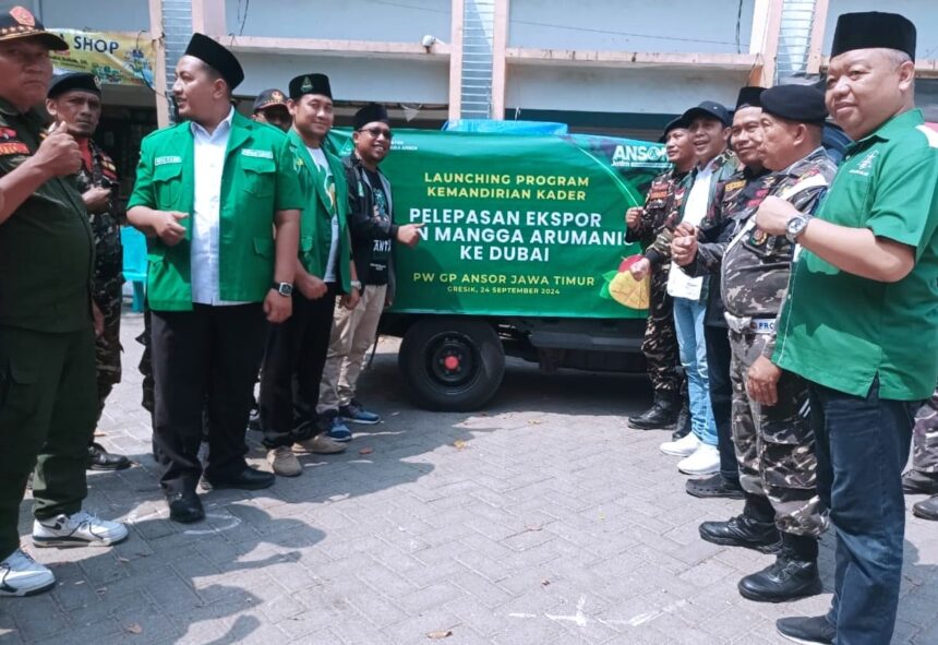 Pimpinan Wilayah (PW) GP Ansor Jawa Timur melakukan Launching Program Kemandirian Kader ditandai dengan Pelepasan Ekspor 1 Ton Mangga Arumanis ke Dubai, Selasa (24/9/2024). Foto: dok PW GP Ansor Jatim/NUGres