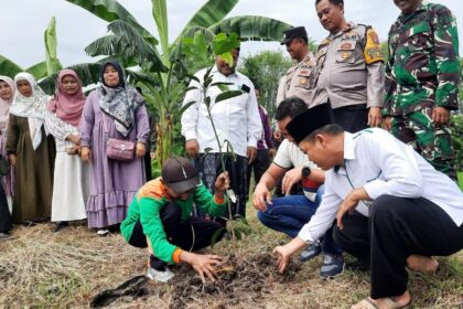 Gerakan Tanam Pohon warnai Pelatihan Tanggap Bencana yang dihelat oleh Lembaga Penanggulangan Bencana dan Perubahan Iklim (LPBI) MWCNU Kedamean, pada Rabu (25/12/2024). Foto: dok LPBI MWCNU Kedamean/NUGres