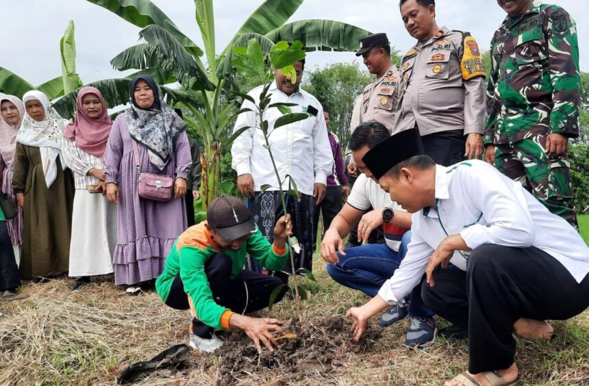 Gerakan Tanam Pohon warnai Pelatihan Tanggap Bencana yang dihelat oleh Lembaga Penanggulangan Bencana dan Perubahan Iklim (LPBI) MWCNU Kedamean, pada Rabu (25/12/2024). Foto: dok LPBI MWCNU Kedamean/NUGres